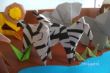 zebra.JPG