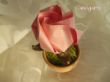 rosentöpfchen-rosa 1-2.jpg