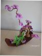 silvi-bonsai3.JPG