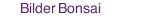 Bilder Bonsai